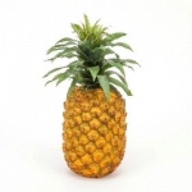 Pineapple 11" Deluxe